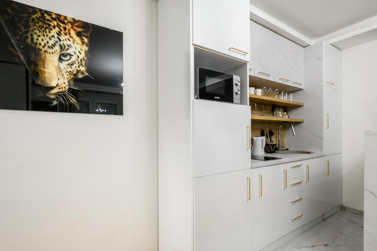 Jednosobni Apartman Ted - One Bedroomed Apartment Ted Sajmiste Ngoại thất bức ảnh